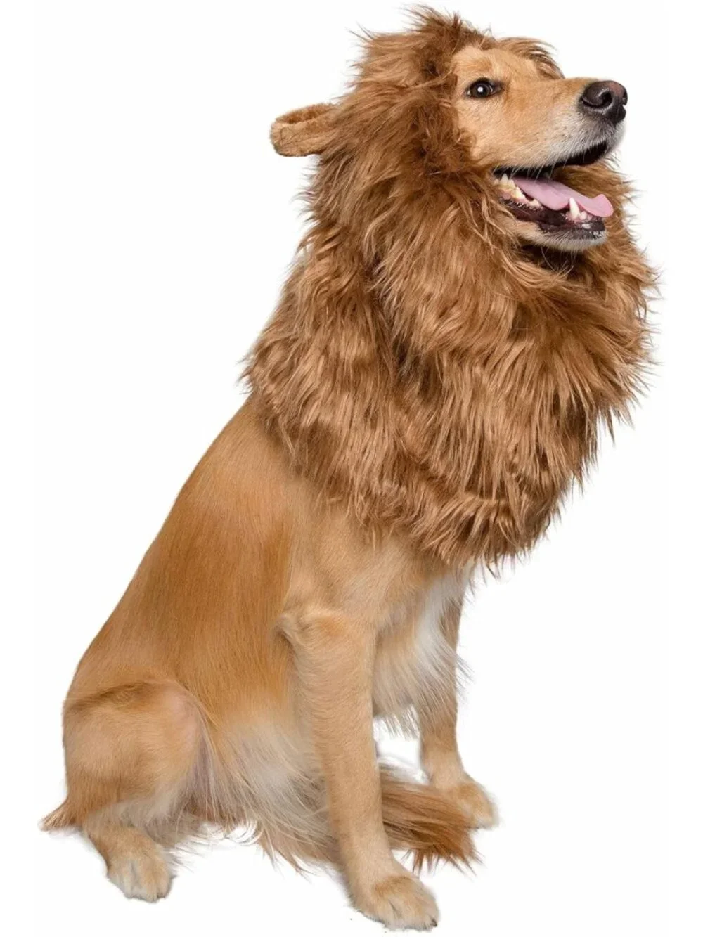 Large Dog Lion Mane Costume & Wig - Fun Pet Halloween Outfit for Dogs